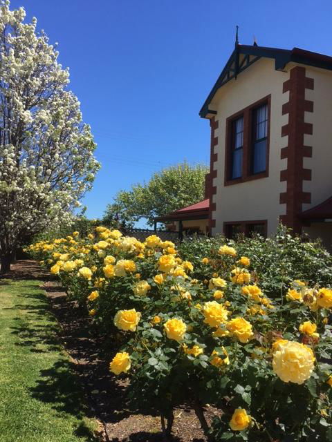 Wine And Roses Bed And Breakfast - New Castle Tourism 5