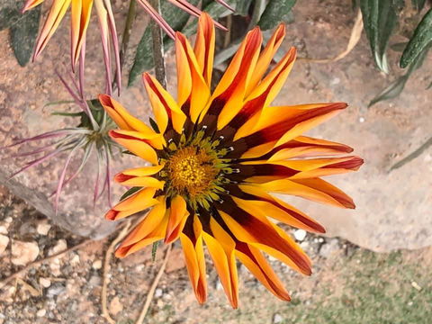 Aussie Opal Diggers Outback Retreat-Undergound - Newcastle Accommodation 26