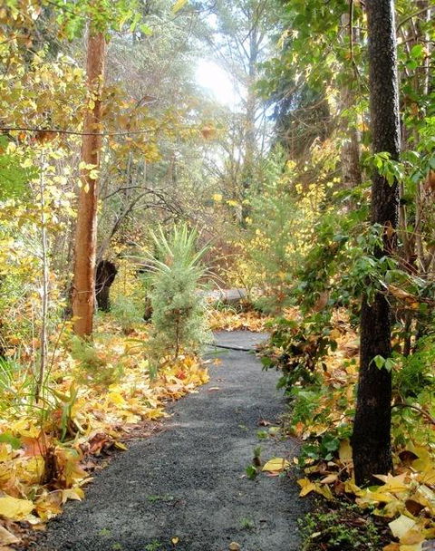 Aldgate Valley Bed And Breakfast - Newcastle Accommodation 43