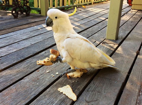 Aldgate Valley Bed And Breakfast - Newcastle Accommodation 40