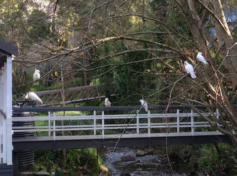 Aldgate Valley Bed And Breakfast - Newcastle Accommodation 41