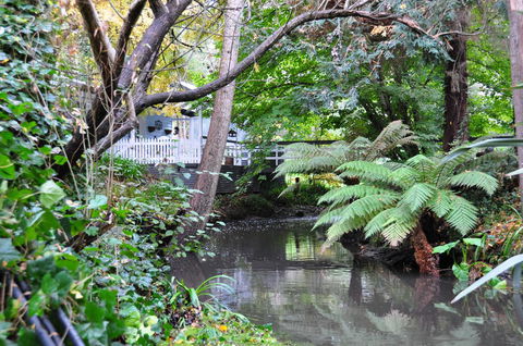 Aldgate Valley Bed And Breakfast - Newcastle Accommodation 22