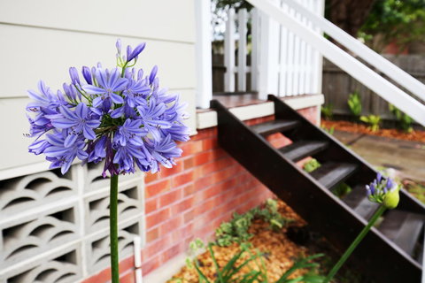 Hudson Bay @ Basin View-Pet Friendly-15 Mins To Hyams Beach - Newcastle Accommodation 38