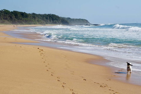 Culburra Beachhouse - Newcastle Accommodation 7