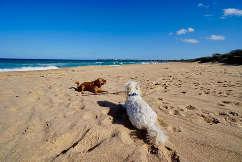 Culburra Beachhouse - Newcastle Accommodation 8