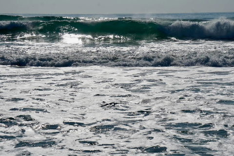 Culburra Beachhouse - Newcastle Accommodation 10