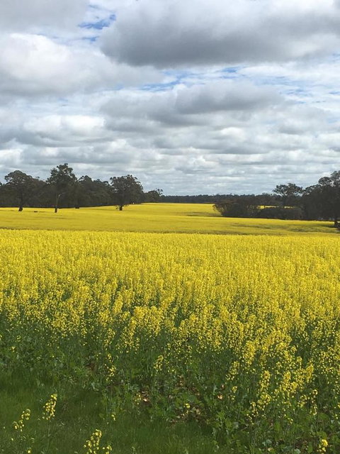 Blue House Denmark - New Castle Tourism 5