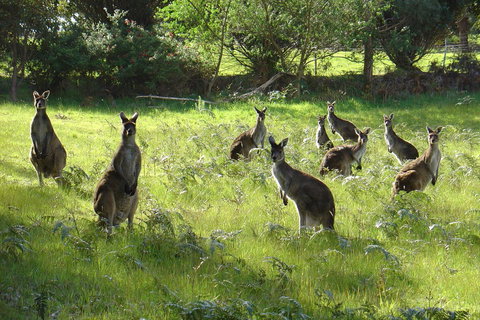 Blue House Denmark - New Castle Tourism 13