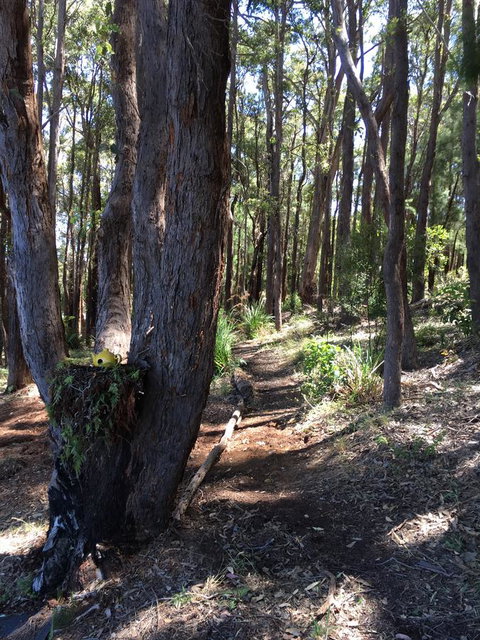 Blue House Denmark - New Castle Tourism 6