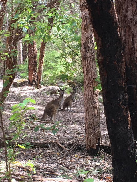 Blue House Denmark - New Castle Tourism 7