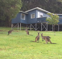 Blue House Denmark - New Castle Tourism