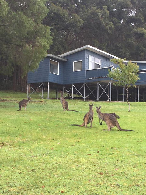 Blue House Denmark - New Castle Tourism 0