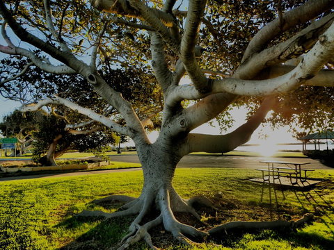 Lazy Lobster Holiday Units & Chalets - Newcastle Accommodation 34