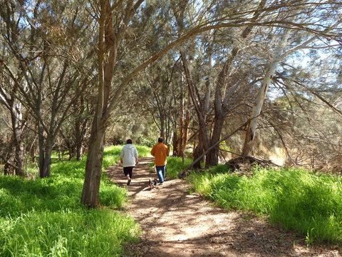 Lazy Lobster Holiday Units & Chalets - Newcastle Accommodation 26