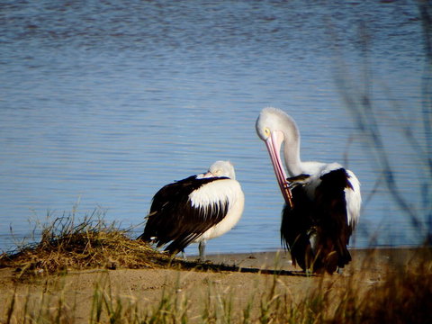 Lazy Lobster Holiday Units & Chalets - Newcastle Accommodation 33