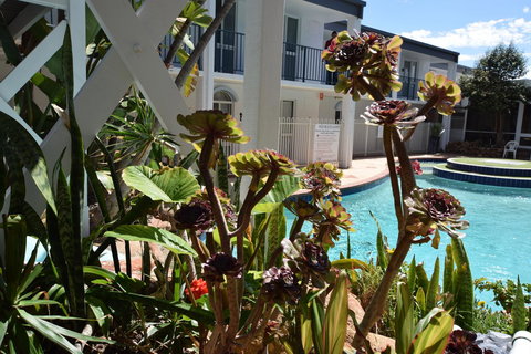 West Beach Lagoon 220 Stylish And Cozy - Newcastle Accommodation 18