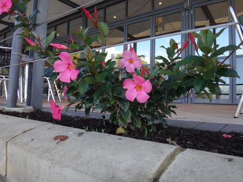 Mandurah Quay Resort - Newcastle Accommodation 34