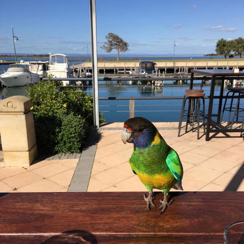 Mandurah Quay Resort - Newcastle Accommodation 32