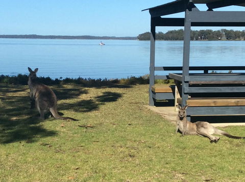 Dungowan Holiday Accommodation - New Castle Tourism 33