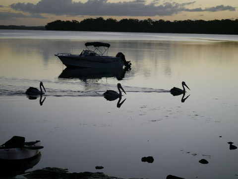 Dungowan Holiday Accommodation - New Castle Tourism 41