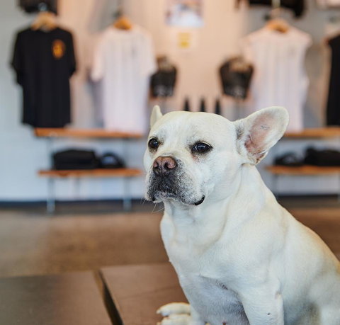 Nomads Byron Bay Backpackers - New Castle Tourism 24