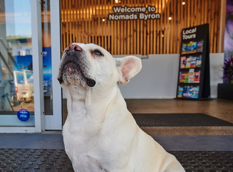 Nomads Byron Bay Backpackers - New Castle Tourism 22