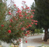 The Heights Bed  Breakfast - New Castle Tourism