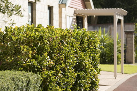 Amalfi Resort - Newcastle Accommodation 9