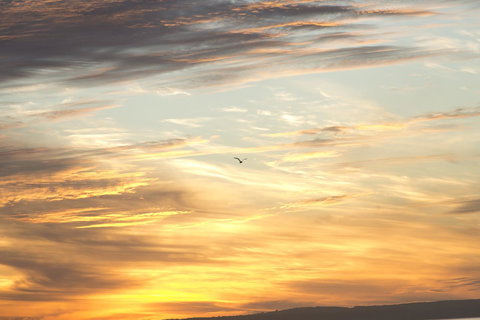 Amalfi Resort - Newcastle Accommodation 6