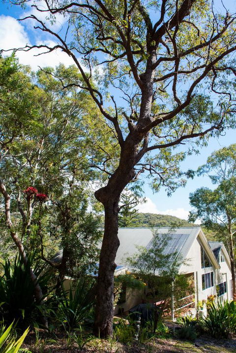 Nelson Bay Bed & Breakfast - New Castle Tourism 42