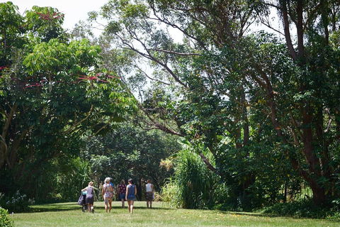 Ingenia Holidays Byron Bay - New Castle Tourism 11