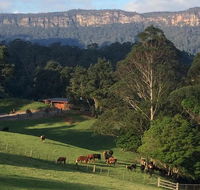 Amaroo Valley Springs - Newcastle Accommodation