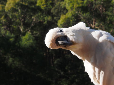 Bundle Hill Cottages - Newcastle Accommodation 1