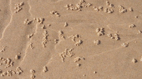 Bundle Hill Cottages - Newcastle Accommodation 4