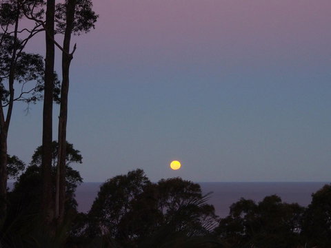 Bundle Hill Cottages - Newcastle Accommodation 36