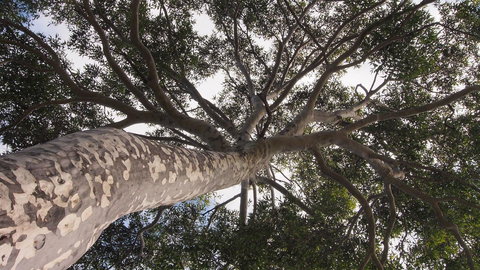 Bundle Hill Cottages - Newcastle Accommodation 20