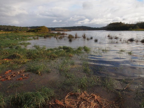Bundle Hill Cottages - Newcastle Accommodation 31