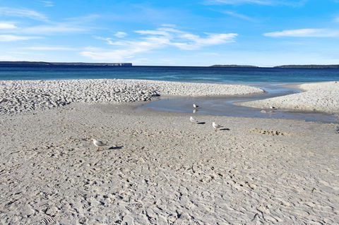 Huskisson Holiday Motel Cabins - Newcastle Accommodation 21