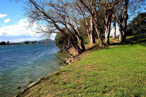 Terara Riverside Retreat - Newcastle Accommodation 32