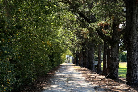 Terara Riverside Retreat - Newcastle Accommodation 26