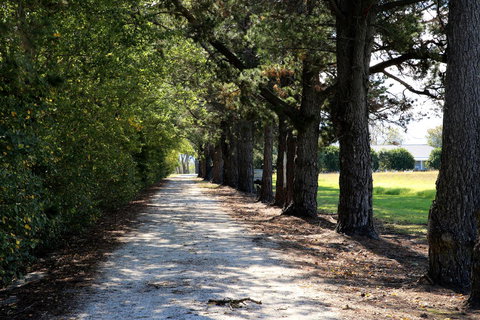 Terara Riverside Retreat - Newcastle Accommodation 30