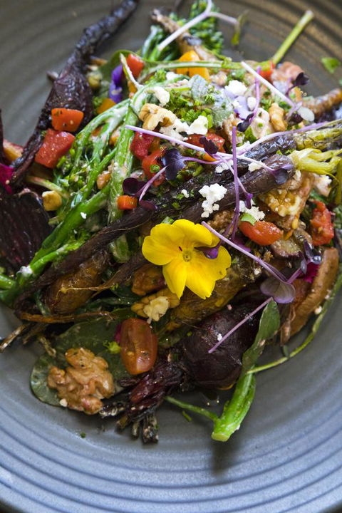 Sage Hotel Wollongong - New Castle Tourism 21