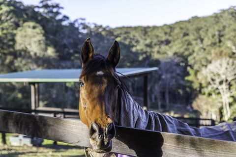 The Outlook Cabana - Newcastle Accommodation 19