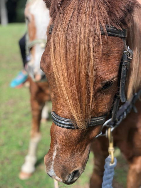 The Outlook Cabana - Newcastle Accommodation 17