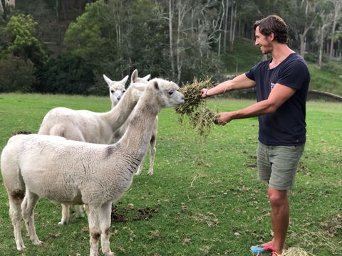 The Outlook Cabana - Newcastle Accommodation 20