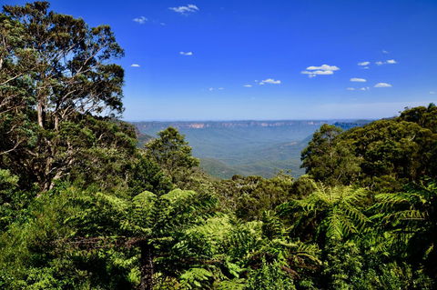 Dangal Gardens - New Castle Tourism 28