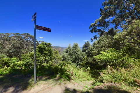 Dangal Gardens - New Castle Tourism 30