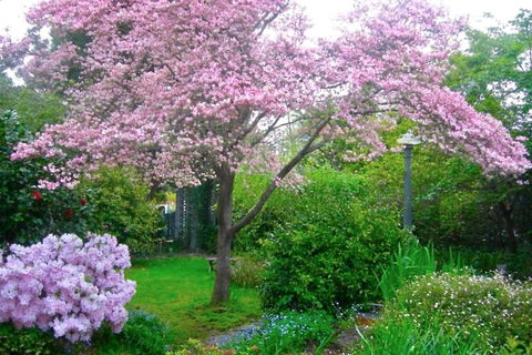 Dangal Gardens - New Castle Tourism 3