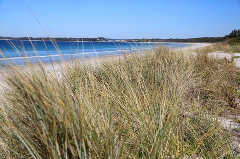 Sandy Toes Beach House Jervis Bay - 2min To Beach - New Castle Tourism 23