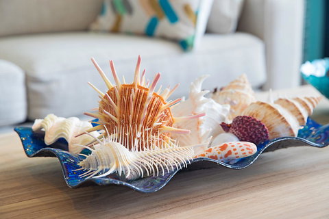 Arena Luxury Beachfront Apartment - New Castle Tourism 7